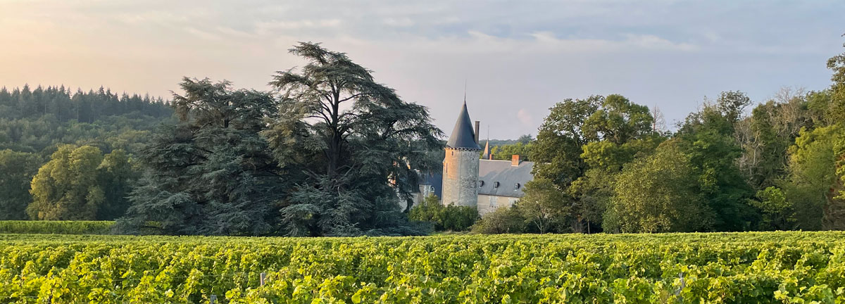 chateau_de_tracy_1200.jpg chateau_de_tracy_1200.jpg